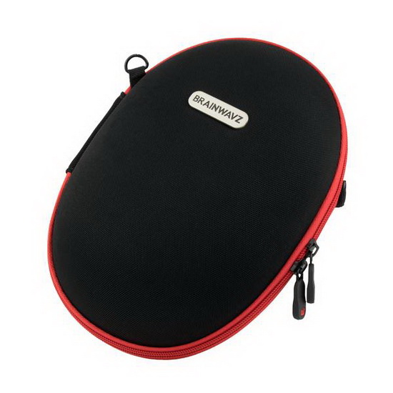 Brainwavz Headphone Carrying Case (Large)