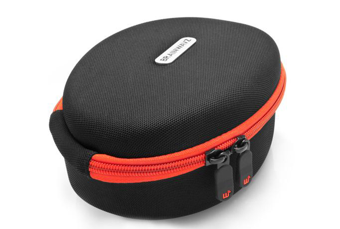 Brainwavz Headphone Carrying Case (Oval)