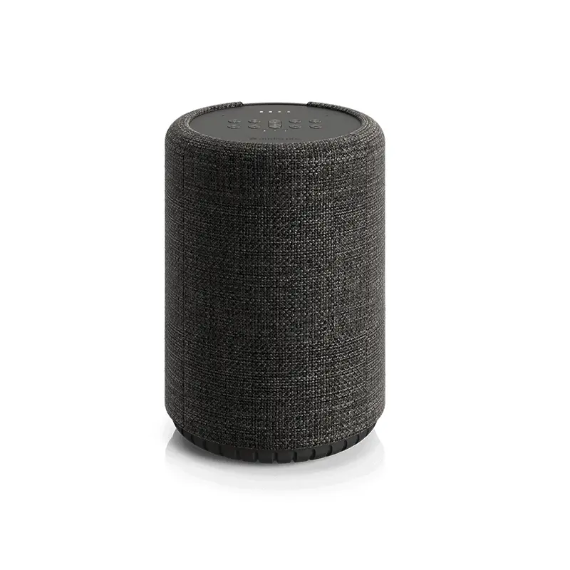 Audio Pro G10 (Dark Grey)