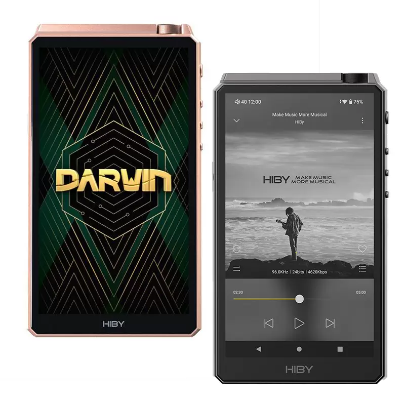 HiBy RS6 [Gold/Silver] ***Silver Pre-Order***